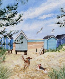 Summer Walk On The Beach