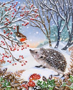 Woodland Robin And Hedgehog