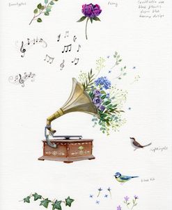 Gramophone and Flowers