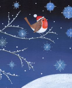 Robin on Snowy Twig and Snowflakes