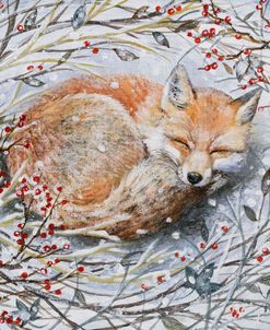 Sleeping Fox