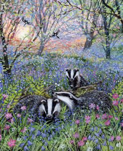 Spring Badgers