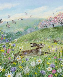 Running Hare and Ox-Eye Daisies