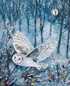 Barn Owl And Berries