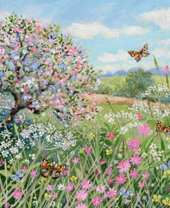 Blossom And Butterflies