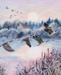 Frozen Lake