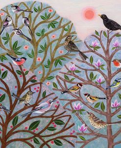 Garden Birds in Morning Sun