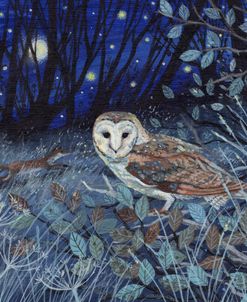 Fleeting Fox and Owl