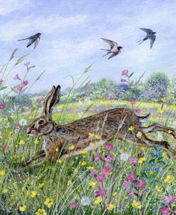 Hare and Swallows
