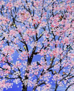 Blossom Birds