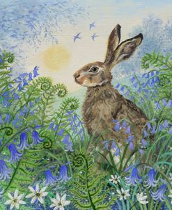 Bluebells And Hare
