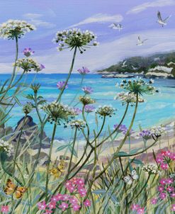 Coastal Wildflowers