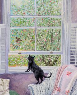 A Room With A Blossom View