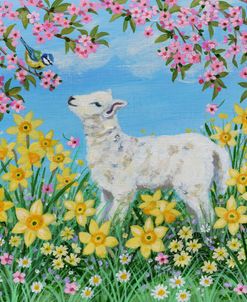 Lamb And Blossom
