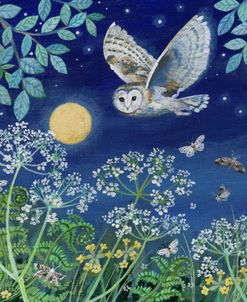 Moths, Moon And Owl
