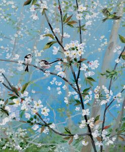 Wild Cherry Blossom