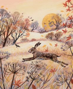 Golden Sun And Running Hare