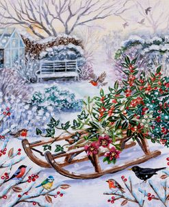 Sledge And Garden Birds