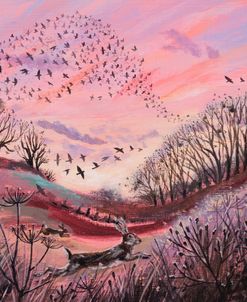 Murmuration And Hare