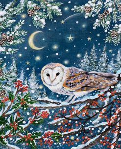 Woodland Owl And Crescent Moon