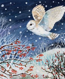 Woodland Berries And Flying Owl