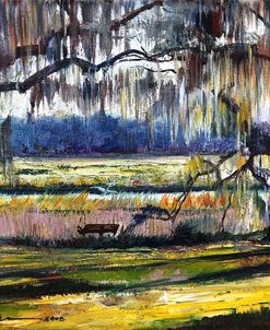 Lowcountry Spanish Moss Escape