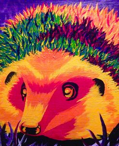 Colorful Hedgehog