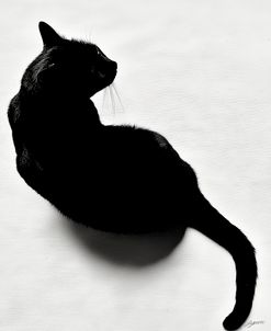 Beautiful In Black