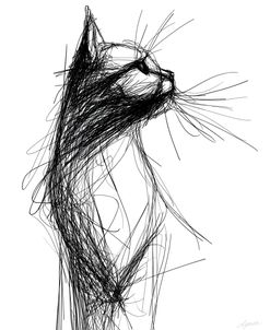 Cat Portrait