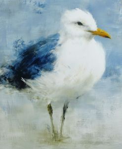 Ocean Bird