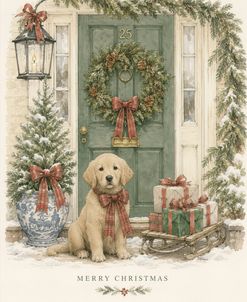 Merry Christmas Puppy