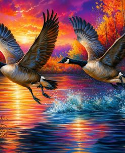 Colorful Flight