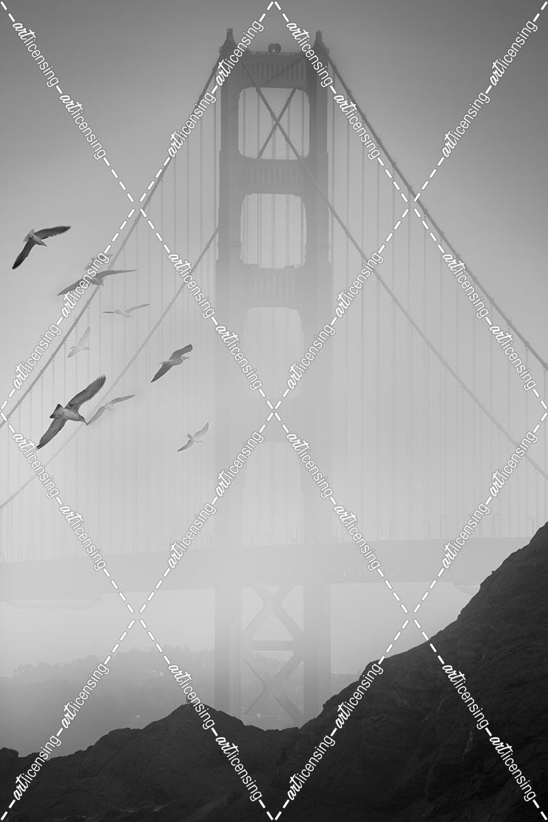 Golden Gate Pier and Birds II