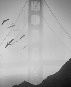 Golden Gate Pier and Birds II