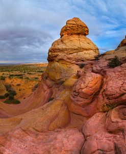 Pink Mountain