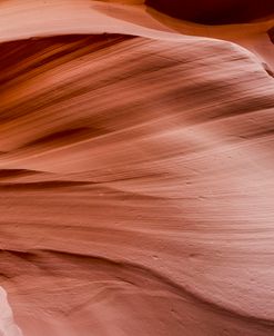 Antelope Panorama 2 of 3