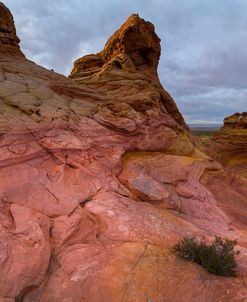 Pink Mountain 1 of 3