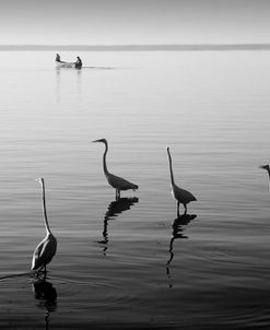 4 Heron and Boat