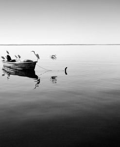 Boat and Heron II