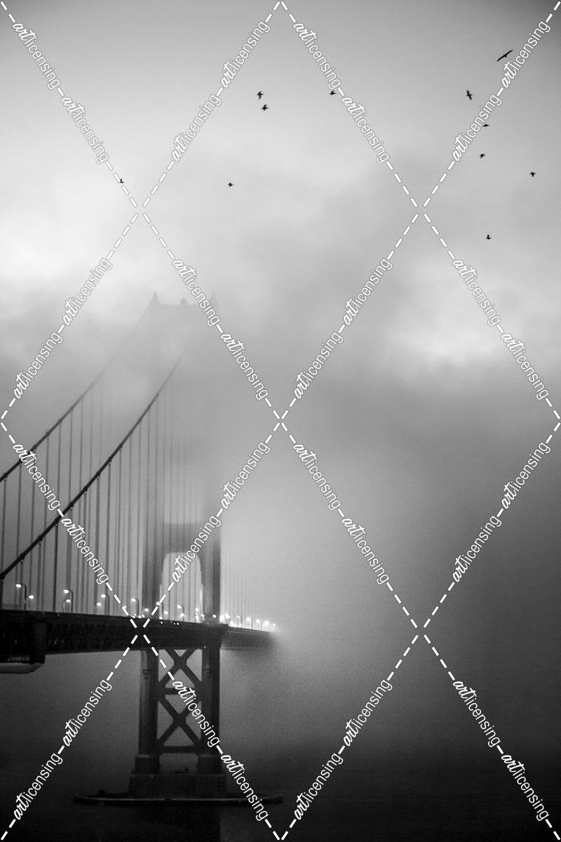 Golden Gate and Birds