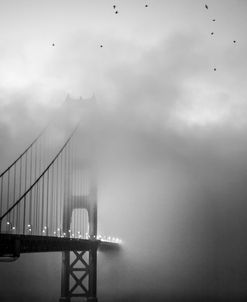 Golden Gate and Birds
