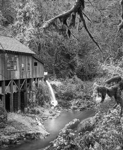 Cedar Creek Grist Mill B&W