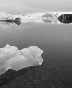 Iceberg 2 B&W