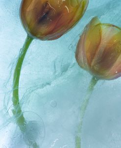 Flowers on Ice-5