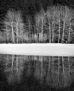 Yosemite Reflection 1