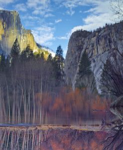 Yosemite Reflection 2 Color