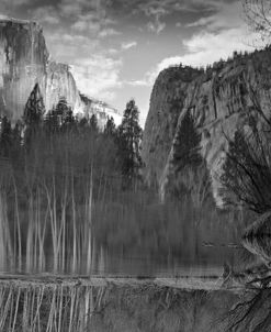 Yosemite Reflection 2 BW