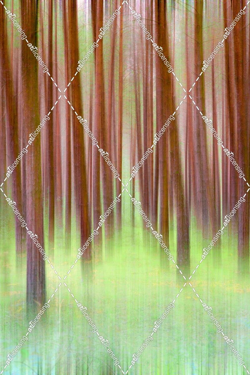 Blurred Trees 2