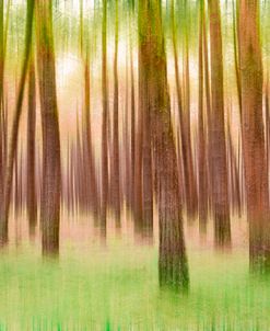 Blurred Trees 5 – Verde