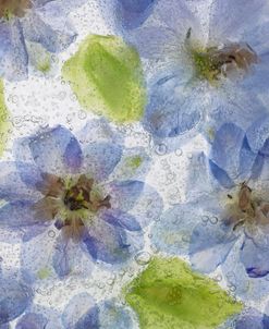 Flores Congeladas Mar141536